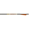 thumbnail image 1 of Gold Tip Ballistic Bolts, 6-Pack, Black, 22" 4" Vanes, 1 of 2
