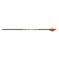 thumbnail image 1 of Gold Tip Force Foc Arrows 250 4 Fletch 6pk, 1 of 1