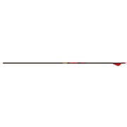 Gold Tip Hunter 340 Carbon Arrow 2" Vanes 6PK