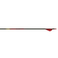 thumbnail image 1 of Gold Tip Kinetic Arrows 300 Raptor Vane 6 Pack, 1 of 1
