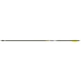 thumbnail image 1 of Gold Tip PLATINUMN250A216 Pierce Platinum 250 Spine 2.1in Vanes Arrows (6 Pack), 1 of 1