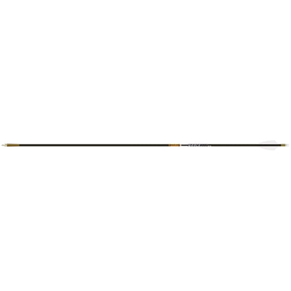 Gold Tip Pierce Platinum, 300, 2in Raptor, 1/2dz