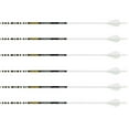 thumbnail image 1 of Gold Tip Ted Nugent Arrows White 300 Raptor Vanes 6 Pk., 1 of 2