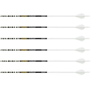 Gold Tip Ted Nugent 300 Carbon Arrow 2 Vanes Black and White 6PK