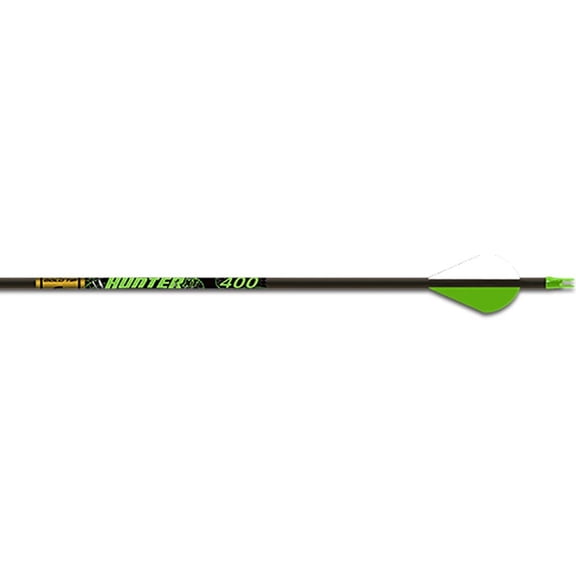 Gold Tip Hunter Xt Arrows With 2Inch Raptor Vanes (1Dozen), 340, Color May Vary
