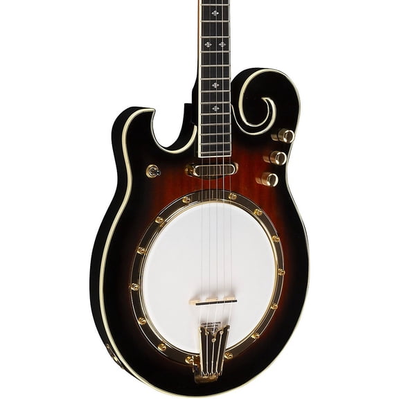Gold Tone EBM-5 Electric Solidbody 5-String Banjo For Left Hand Players Sunburst