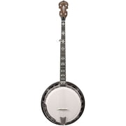 OB-250AT Professional Archtop Bluegrass Banjo