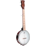 Plucky 5-String Travel Banjo