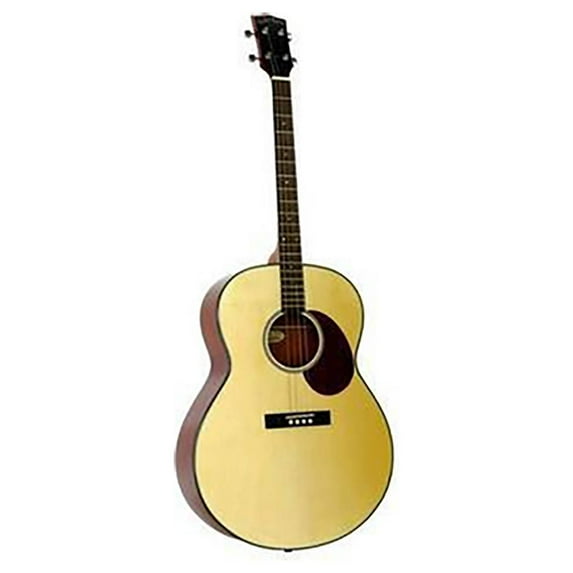 Gold Tone TG-10 Te Acoustic Guitar