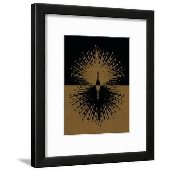 Gold and Black Peacock, Animals Framed Art Print Wall Art Sold by Art.Com