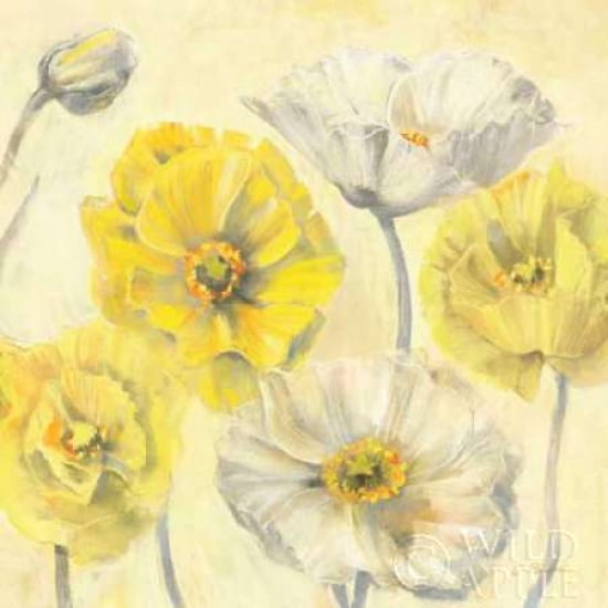 Gold and White Contemporary Poppies II Canvas Art - Carol Rowan (24 x 24)