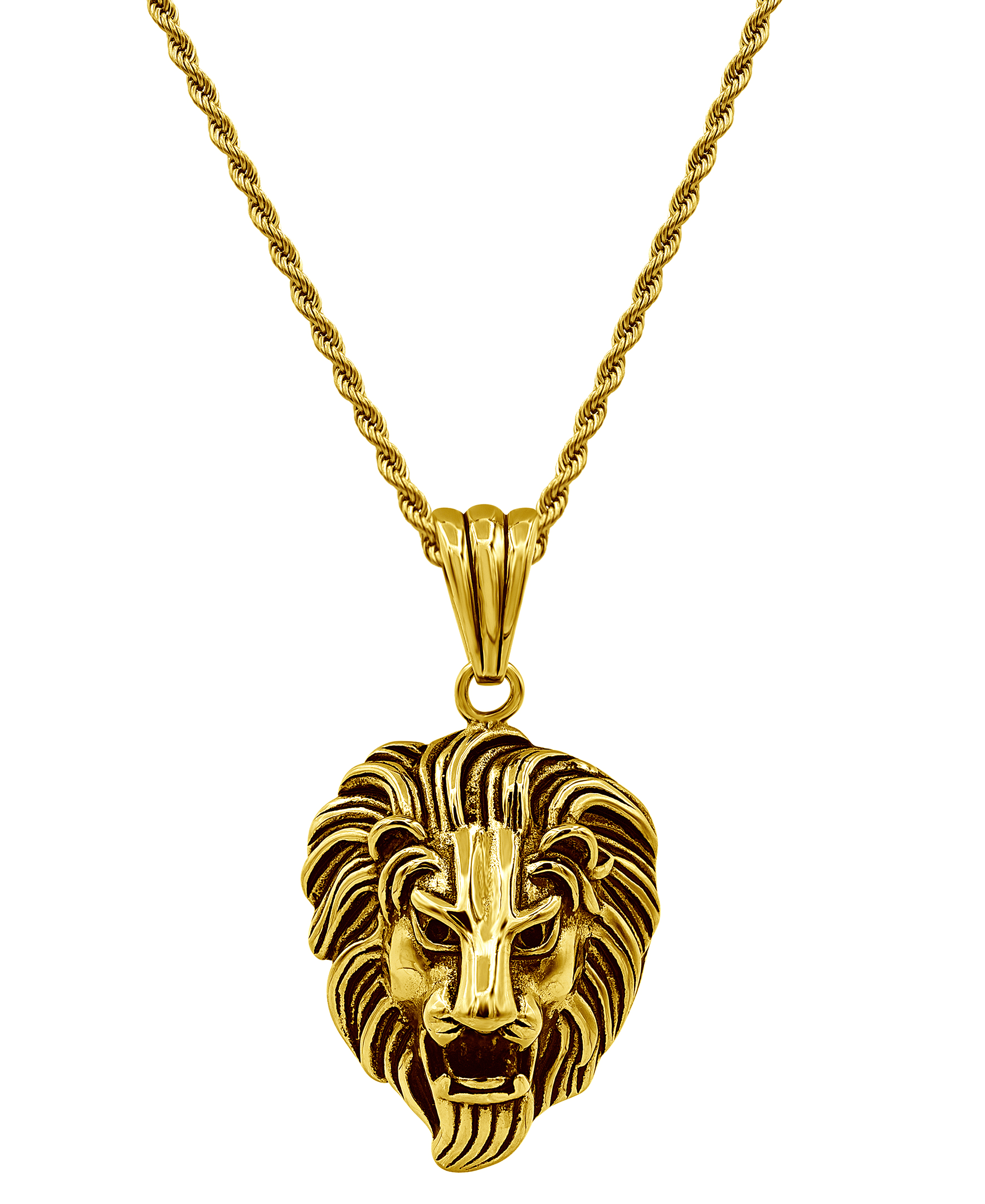 Gold/black stainless steel lion pendant with 24" rope chain