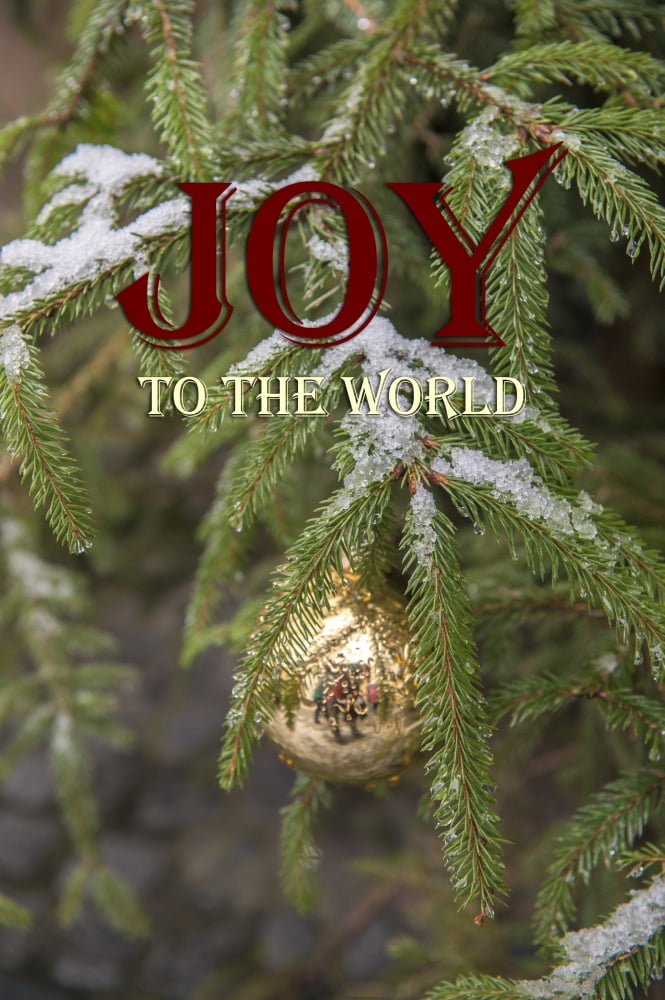 Gold glass Christmas ornament on evergreen tree with snow on branches Bamberg Germany Canvas Art - Lisa S Engelbrecht Danita Delimont (18 x 28)