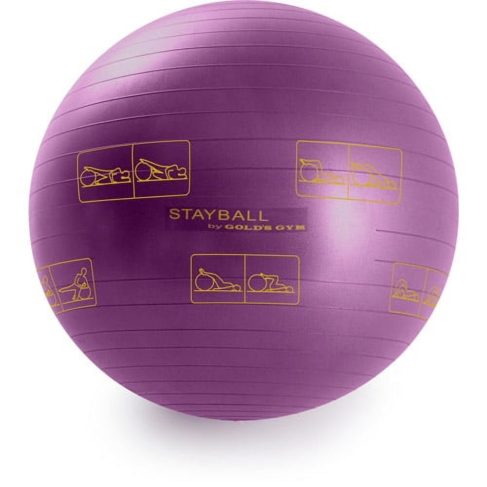 Gold's gym outlet exercise ball