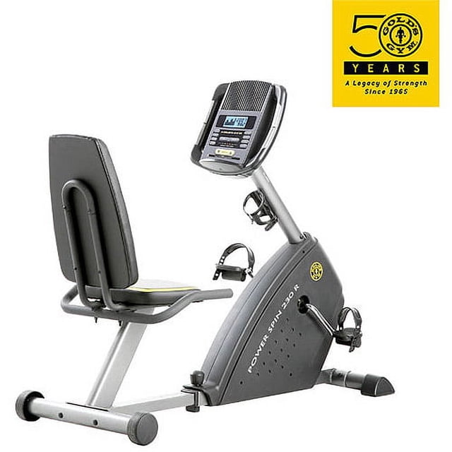 Gold's Gym Power Spin 230 Recumbent Bike