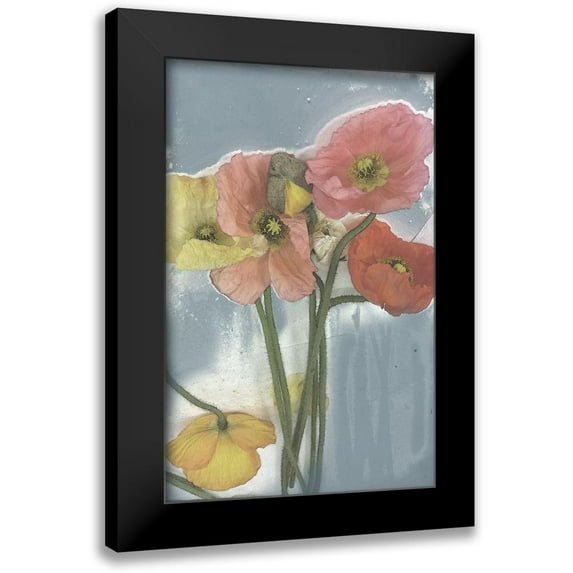 Goldberger, Jennifer 10x14 Black Modern Framed Museum Art Print Titled - Poppy Spray II