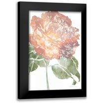 Goldberger, Jennifer 11x14 Black Modern Framed Museum Art Print Titled - Watercolor Bloom I
