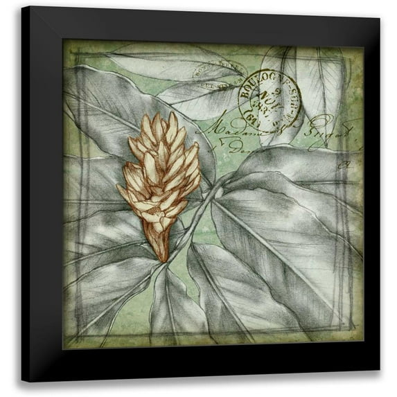 Goldberger, Jennifer 12x12 Black Modern Framed Museum Art Print Titled - Postmark Tropicals II