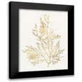 thumbnail image 1 of Goldberger, Jennifer 12x14 Black Modern Framed Museum Art Print Titled - Gilded Algae VIII, 1 of 5