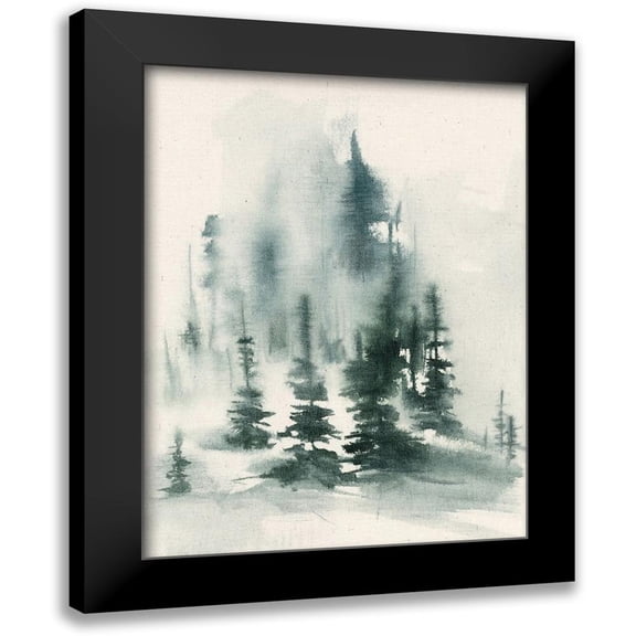 Goldberger, Jennifer 12x14 Black Modern Framed Museum Art Print Titled - Misty Winter I