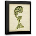 thumbnail image 1 of Goldberger, Jennifer 12x14 Black Modern Framed Museum Art Print Titled - Small Fiddlehead Ferns I, 1 of 5