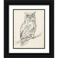 thumbnail image 1 of Goldberger, Jennifer 12x14 Black Ornate Wood Framed with Double Matting Museum Art Print Titled - Owl Portrait I, 1 of 4