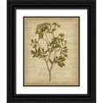 thumbnail image 1 of Goldberger, Jennifer 12x14 Black Ornate Wood Framed with Double Matting Museum Art Print Titled - Romantic Pressed Flowers IV, 1 of 4