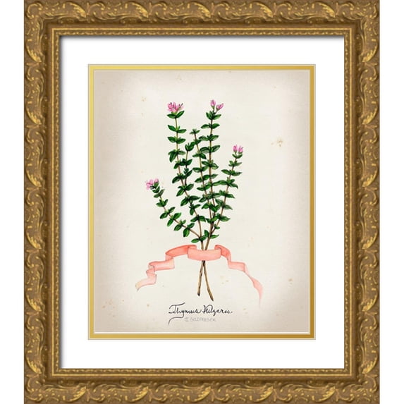 Goldberger, Jennifer 12x14 Gold Ornate Wood Framed with Double Matting Museum Art Print Titled - Herb Series VI
