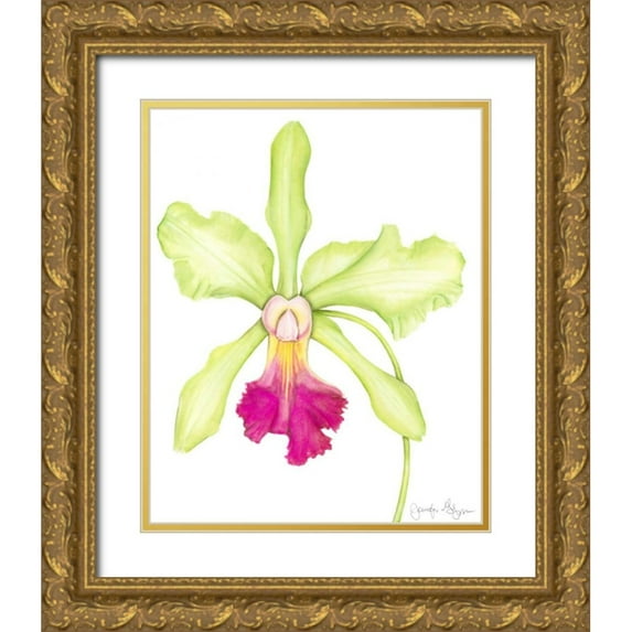 Goldberger, Jennifer 12x14 Gold Ornate Wood Framed with Double Matting Museum Art Print Titled - Orchid Beauty III