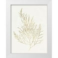 thumbnail image 1 of Goldberger, Jennifer 12x14 White Modern Wood Framed Museum Art Print Titled - Gilded Algae II, 1 of 4