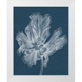 thumbnail image 1 of Goldberger, Jennifer 12x14 White Modern Wood Framed Museum Art Print Titled - Monochrome Tulip II, 1 of 4