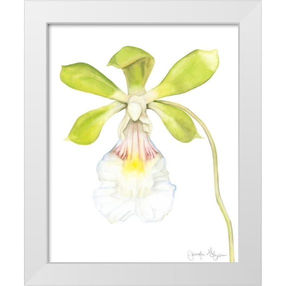 Goldberger, Jennifer 12x14 White Modern Wood Framed Museum Art Print Titled - Orchid Beauty I