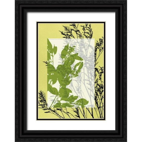 Goldberger, Jennifer 14x18 Black Ornate Wood Framed with Double Matting Museum Art Print Titled - Small Translucent Wildflowers III