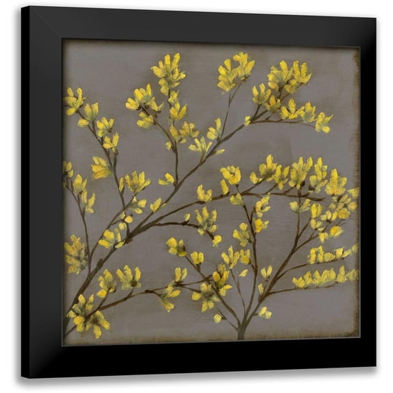 Goldberger, Jennifer 15x15 Black Modern Framed Museum Art Print Titled - Forsythia I