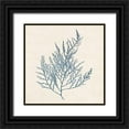 thumbnail image 1 of Goldberger, Jennifer 15x15 Black Ornate Wood Framed with Double Matting Museum Art Print Titled - Indigo Algae I, 1 of 4