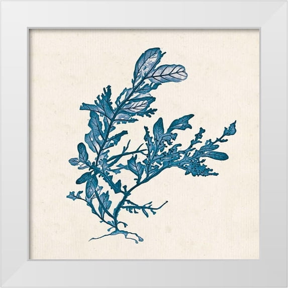 Goldberger, Jennifer 15x15 White Modern Wood Framed Museum Art Print Titled - Indigo Algae III