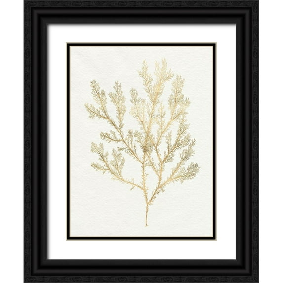 Goldberger, Jennifer 15x18 Black Ornate Wood Framed with Double Matting Museum Art Print Titled - Gilded Algae VI