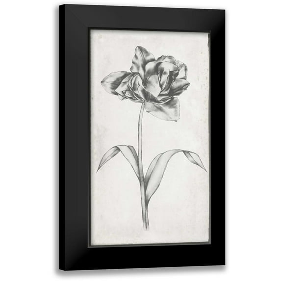 Goldberger, Jennifer 15x24 Black Modern Framed Museum Art Print Titled - Single Stem I