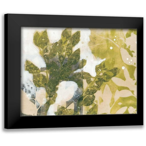 Goldberger, Jennifer 18x15 Black Modern Framed Museum Art Print Titled - Leaf Spray II