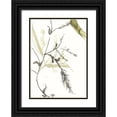 thumbnail image 1 of Goldberger, Jennifer 18x24 Black Ornate Wood Framed with Double Matting Museum Art Print Titled - Under Sea Forest V, 1 of 4