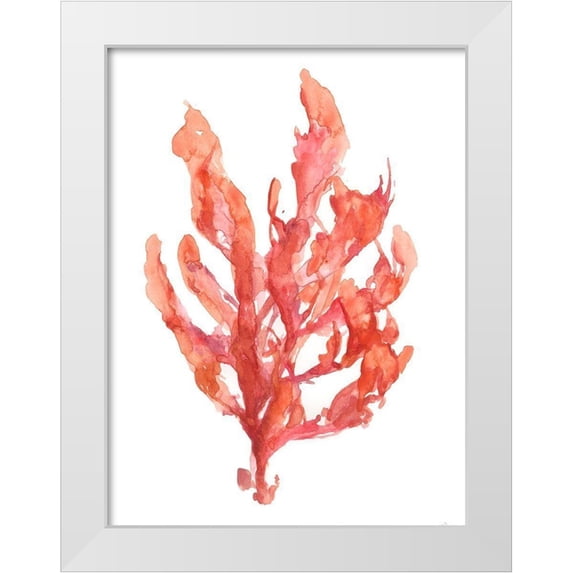 Goldberger, Jennifer 19x24 White Modern Wood Framed Museum Art Print Titled - Coral Kelp I