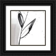 thumbnail image 1 of Goldberger, Jennifer 20x20 Black Ornate Wood Framed with Double Matting Museum Art Print Titled - Blush Flower Splash IX, 1 of 4