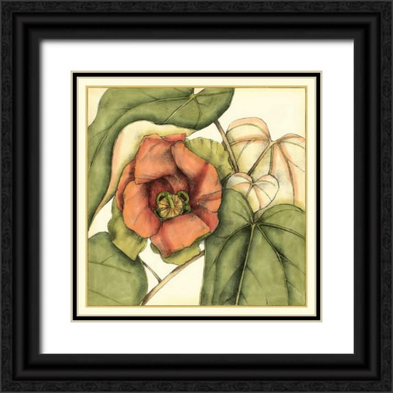 Goldberger, Jennifer 20x20 Black Ornate Wood Framed with Double Matting Museum Art Print Titled - Tropical Blooms and Foliage IV