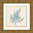 thumbnail image 1 of Goldberger, Jennifer 20x20 Gold Ornate Wood Framed with Double Matting Museum Art Print Titled - Indigo Algae I, 1 of 4