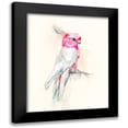 thumbnail image 1 of Goldberger, Jennifer 20x24 Black Modern Framed Museum Art Print Titled - Opera Cockatoo I, 1 of 5