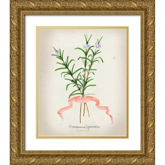 Goldberger, Jennifer 20x24 Gold Ornate Wood Framed with Double Matting Museum Art Print Titled - Herb Series III