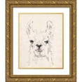 thumbnail image 1 of Goldberger, Jennifer 20x24 Gold Ornate Wood Framed with Double Matting Museum Art Print Titled - Llama Portrait I, 1 of 4