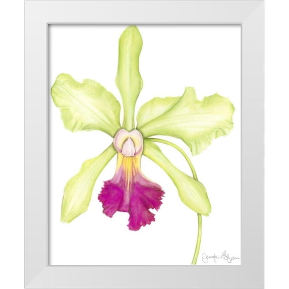 Goldberger, Jennifer 20x24 White Modern Wood Framed Museum Art Print Titled - Small Orchid Beauty III
