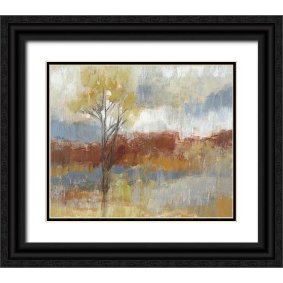 Goldberger, Jennifer 23x20 Black Ornate Wood Framed with Double Matting Museum Art Print Titled - Sienna Field I