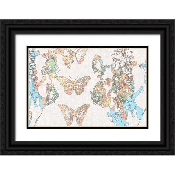 Goldberger, Jennifer 24x17 Black Ornate Wood Framed with Double Matting Museum Art Print Titled - Flight Plan II